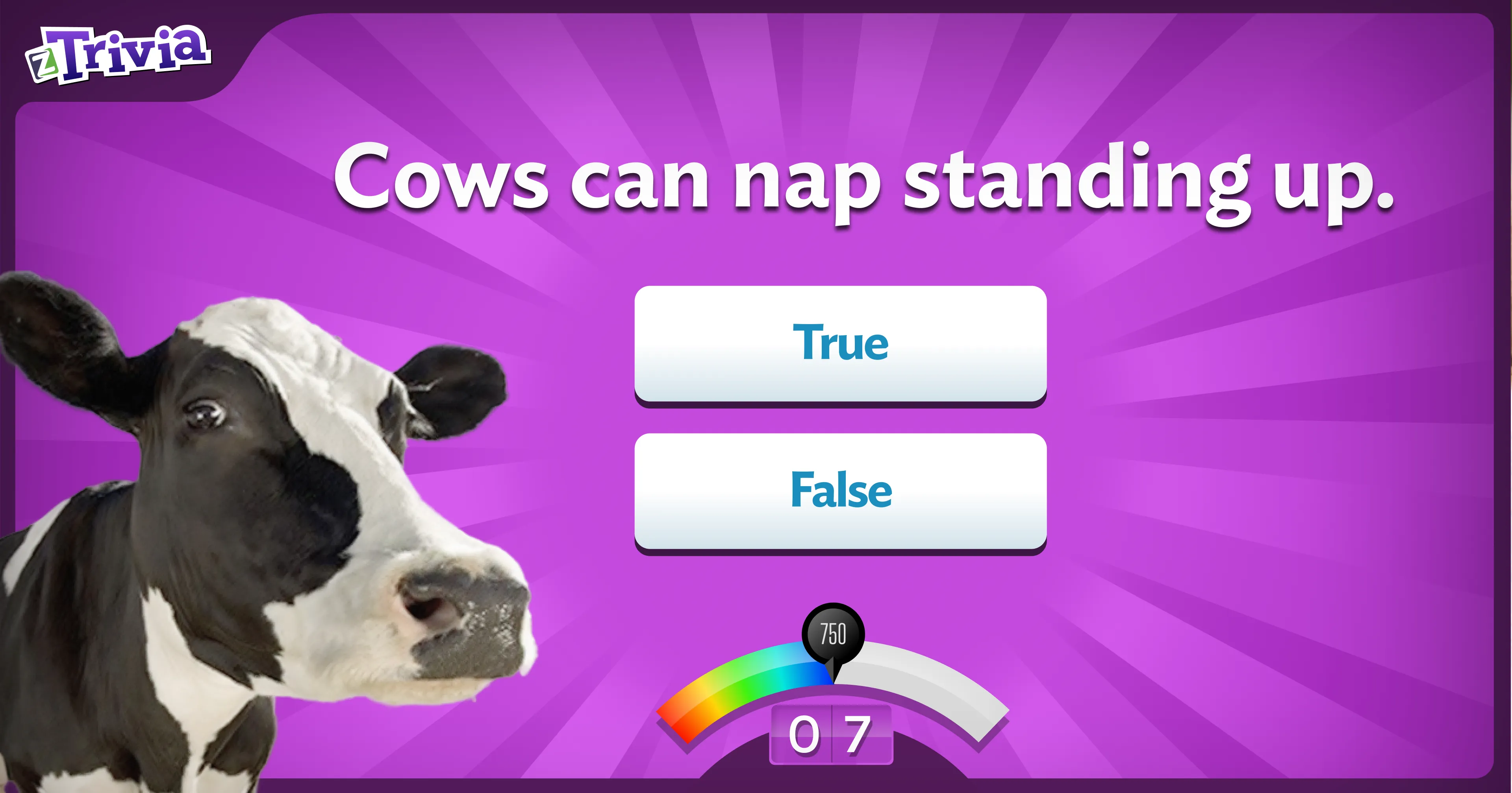 Restaurant dining environment