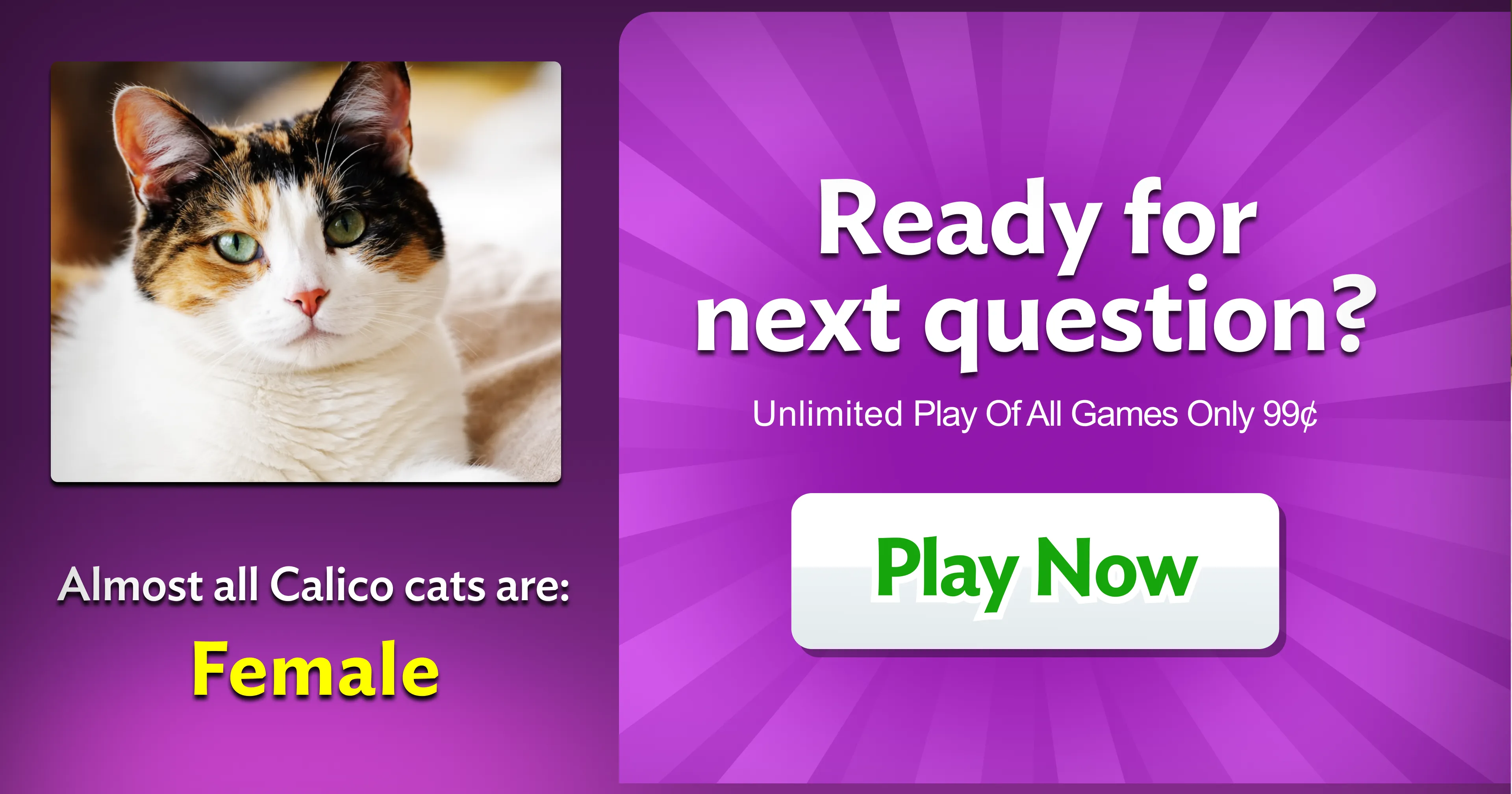 Tablet interface on restaurant table