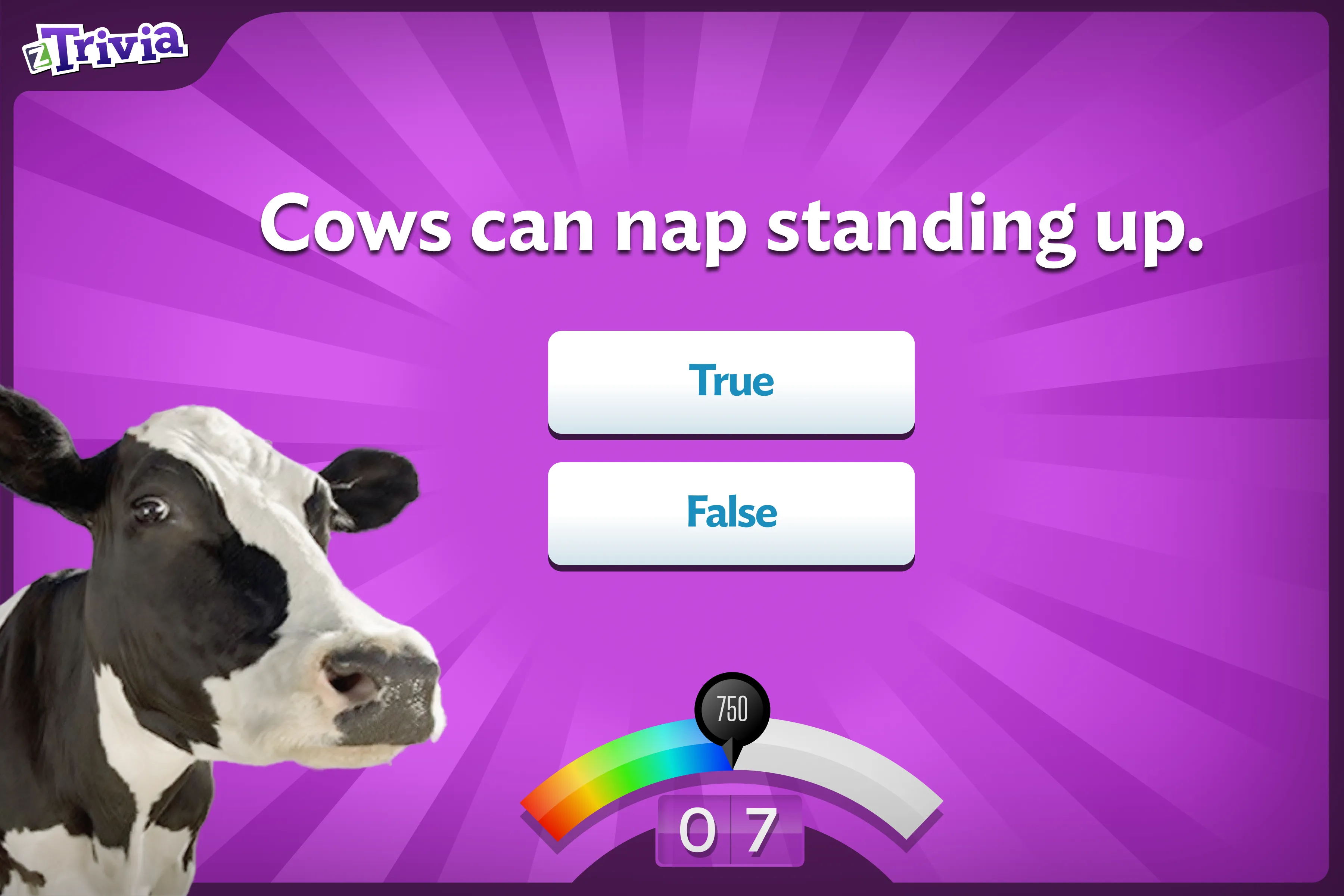 zTrivia promo — cow question