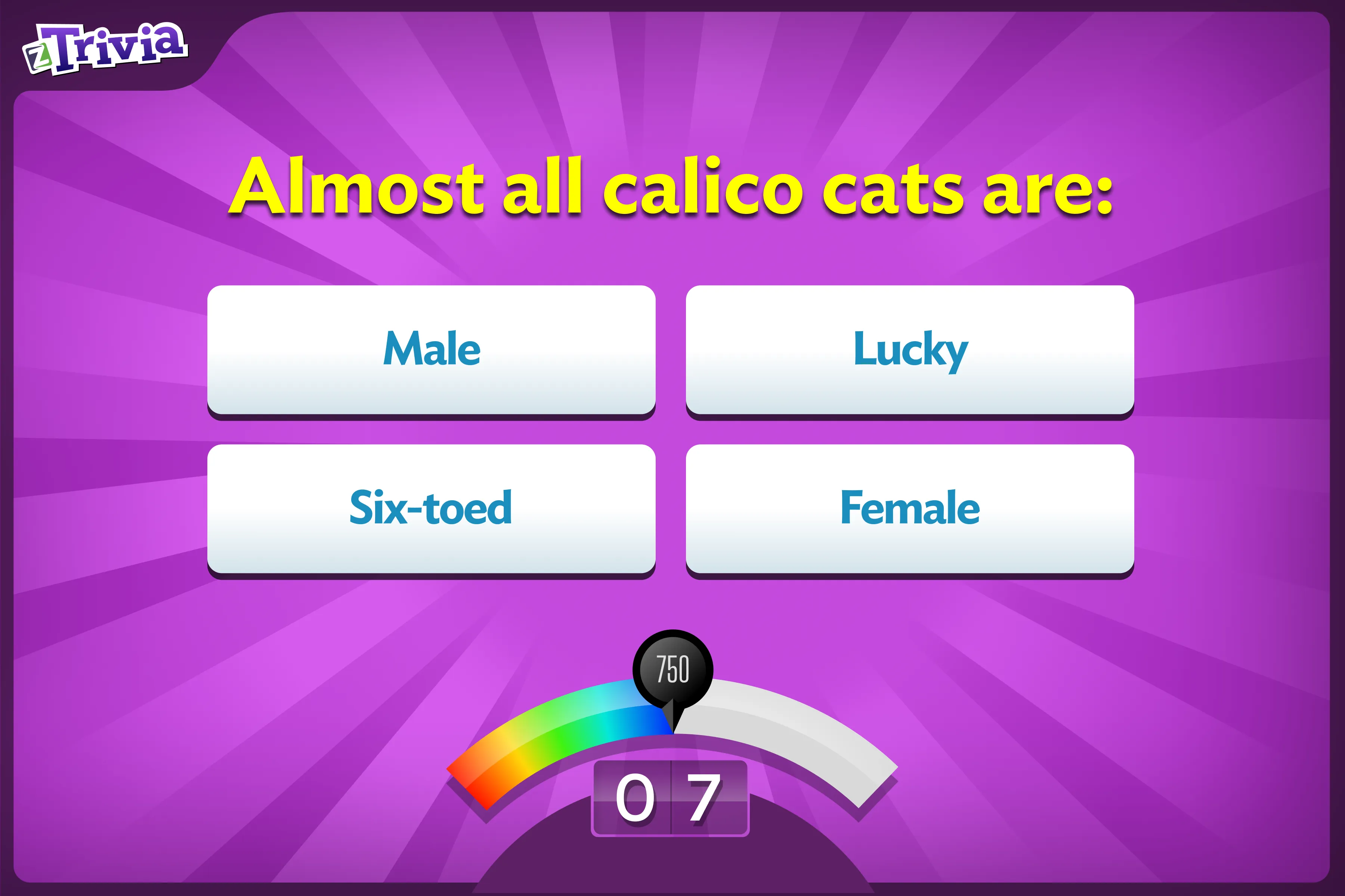 zTrivia promo — calico cat question